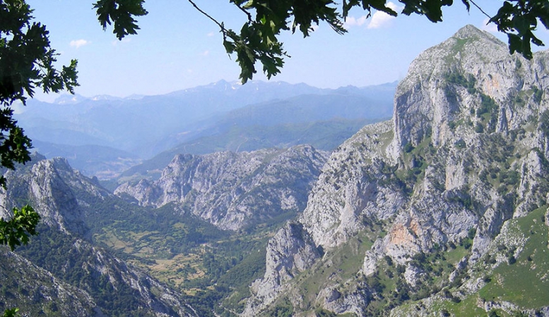Entorno de Linares, Peñarrubia, Cantabria