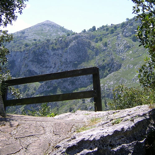 Mirador del entorno de Linares, Peñarrubia