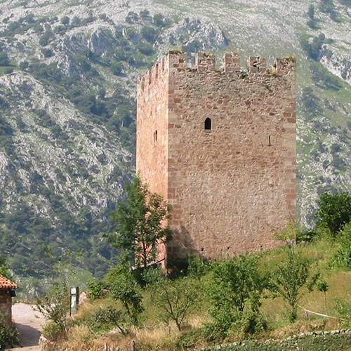 Torre medieval del entorno de Pocotrigo