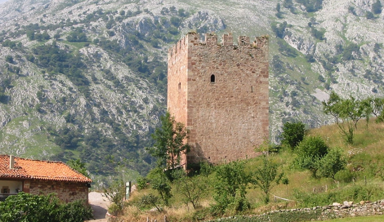 Torre medieval del entorno de Pocotrigo